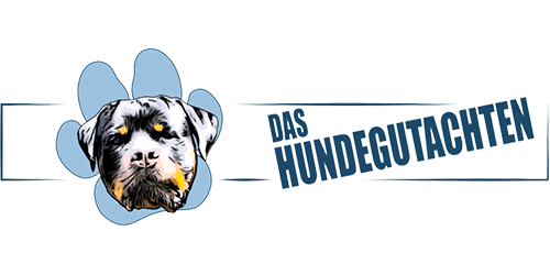 dogs-friends-Das-Hundegutachten-banner